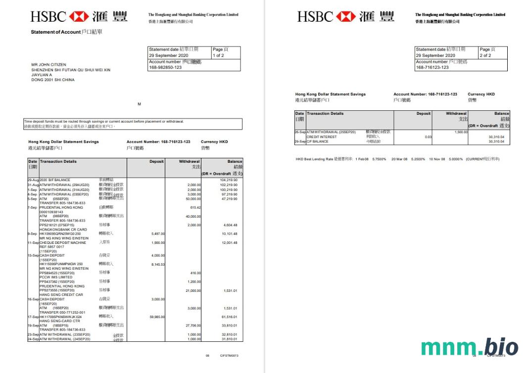 Hong Kong DBS Bank skonsolidowane oświadczenie słowo i PDF szablon scr